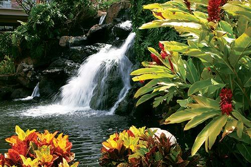 Resort Img